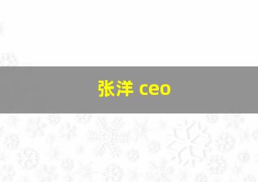 张洋 ceo